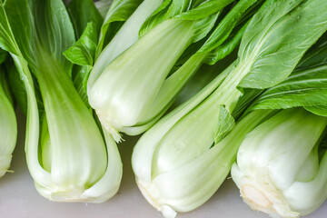 Fresh bok choy 