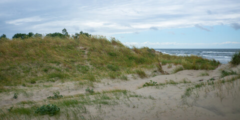 grassy sand dunes on the seashore