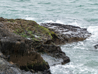Fototapeta na wymiar Wild rocks and sea water, landscape, rock formation beside body of water. Ocean waves
