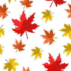 Fototapeta premium Autumn seamless pattern of maple leaves in different colors. Vector graphic.
