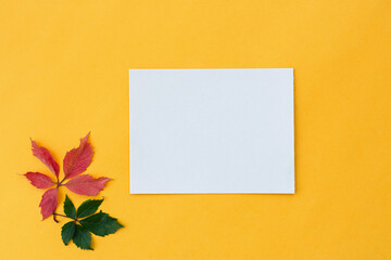 Autumn leaves flat lay. Minimalistic composition on a yellow background. Orange green grape leaves top view, copy space. Mockup for autumn design of postcards invitations websites. Autumn background