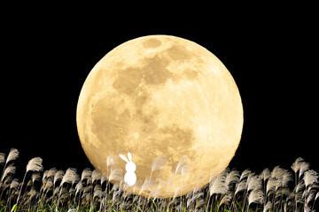中秋の名月とススキとウサギ。
秋の夜のコンセプト。