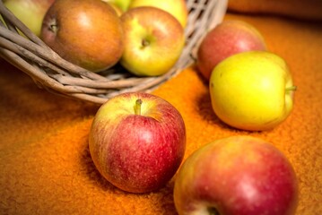 Pommes d'automne bicolores fraîches sur fond orange avec un panier