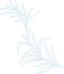 Naklejka premium Chalk imprints of fossil skeletons of prehistoric plants ginkgo, fern, seaweed, alga. Gray archeology fragments. Set of realistic hand drawn sketch art. PNG illustration