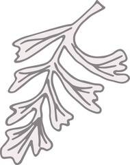 Line imprints of fossil skeletons of prehistoric plants ginkgo, fern, seaweed, alga. Gray archeology fragments. Set of realistic hand drawn sketch art. PNG illustration