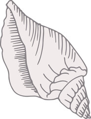 Line imprints of fossil seashell of prehistoric sea animal snail Gray archeology fragments. Set of realistic hand drawn sketch art. PNG illustration