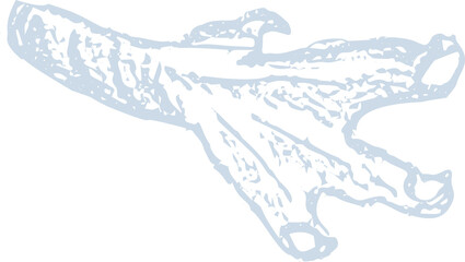 Chalk imprints of fossil of prehistoric animal dinosaur, bird, lizard, fish. Gray archeology fragments. Set of realistic hand drawn sketch art. PNG illustration