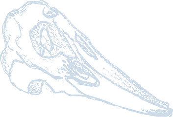 Chalk imprints of fossil of prehistoric animal dinosaur, bird, lizard, fish. Gray archeology fragments. Set of realistic hand drawn sketch art. PNG illustration
