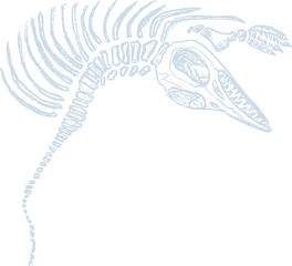 Chalk imprints of fossil of prehistoric animal dinosaur, bird, lizard, fish. Gray archeology fragments. Set of realistic hand drawn sketch art. PNG illustration