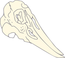 Line imprints of fossil of prehistoric animal dinosaur, bird, lizard, fish. Gray archeology fragments. Set of realistic hand drawn sketch art. PNG illustration