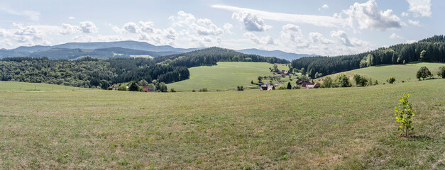 green upland among trees in Black Forest near Muehlenbach, Germany