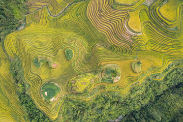 dragon terraced fields in Guilin Guangxi China