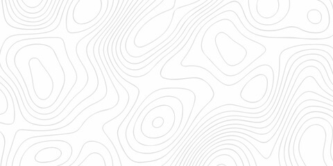 Abstract topographic contours map background .Topographic background and texture, monochrome image. Topography and geography map grid abstract backdrop. Business concept. Fish Fillet Texture .