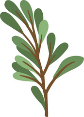 Floral element. Twig with leaves