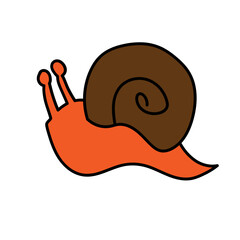 Obraz premium cute snail insect