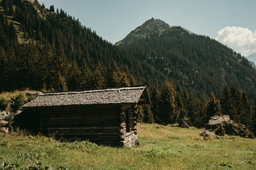 Fototapeta na wymiar Old wooden shelter in the Alps in summer.