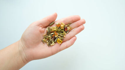 Rodent food from cereals and seeds in hand on a white background