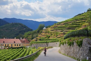 Bicycle tourist in Wachau, Austria - Wachau region countryside