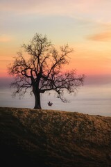 Person auf einer Schaukel, die bei Sonnenuntergang an einem Baum über dem Hintergrund des Meeres befestigt ist