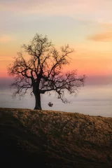 Person auf einer Schaukel, die bei Sonnenuntergang an einem Baum über dem Hintergrund des Meeres befestigt ist © Will Rust/Wirestock Creators