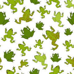 Seamless pattern with green river frogs. Colored vector background on white.