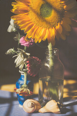Faded Sun Sunflower Still Life