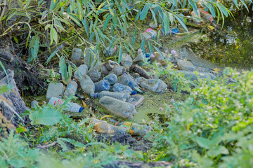 Plastic pollution washed up on the bank of a stream.