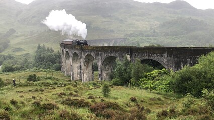 Steam train Glenfinnan Viaduct