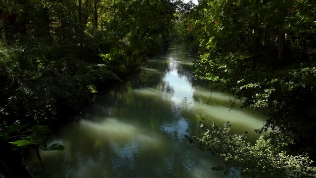 imagen de un río de aguas verdes entre el follaje de un bosque. Madrid, España, septiembre de 2022.