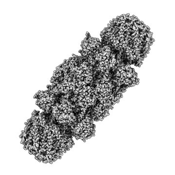 Proteasome From Yeast, Chemical Structure. The Proteasome Is A Huge Protein Complex That Breaks Down Unneeded And Damaged Proteins Inside The Cell. The Human Proteasome Is A Target For Cancer Drugs.