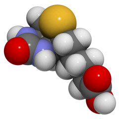 Vitamin B7 (biotin) molecule