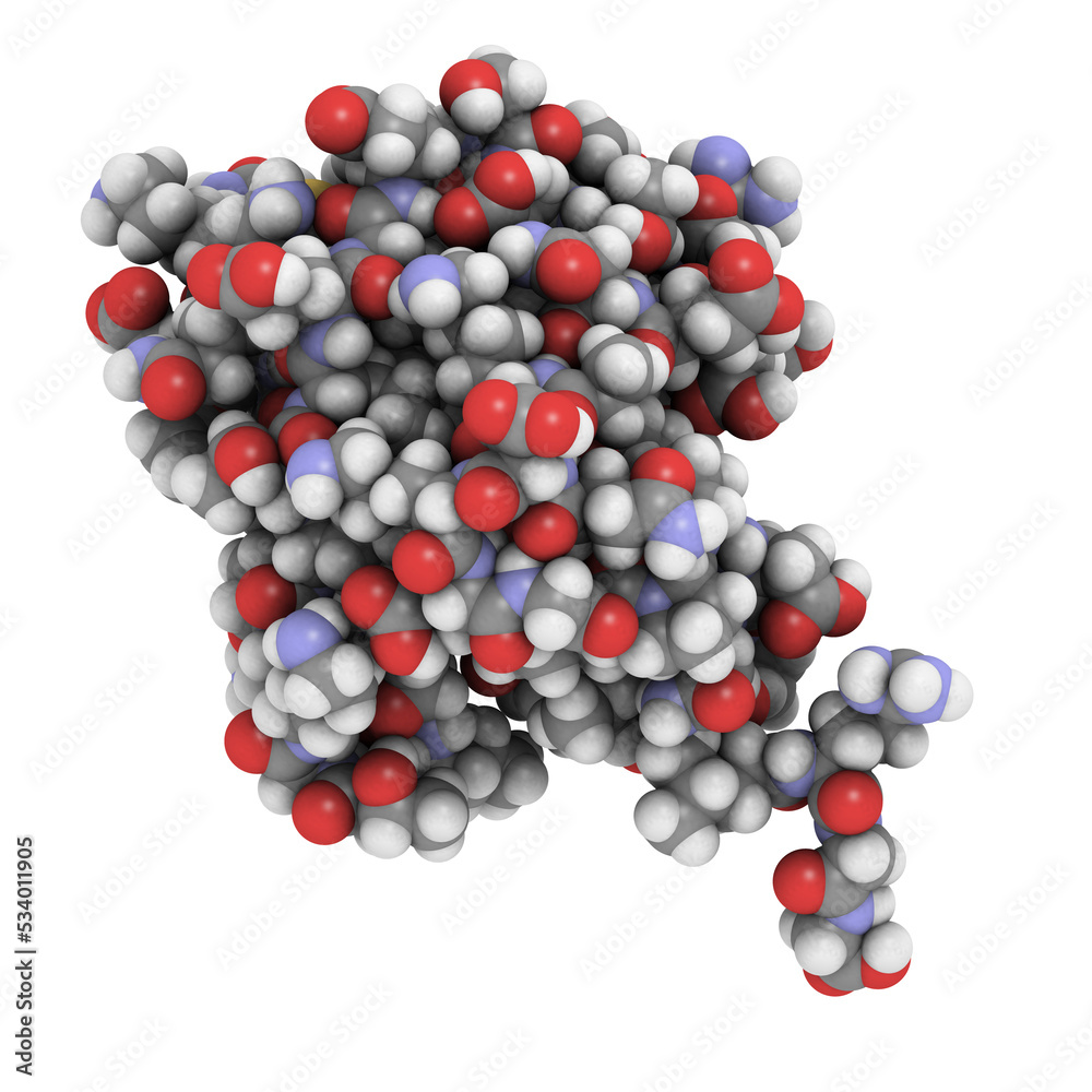 Canvas Prints ubiquitin protein molecule, chemical structure. ubiquitin is a molecular tag that indicates proteins