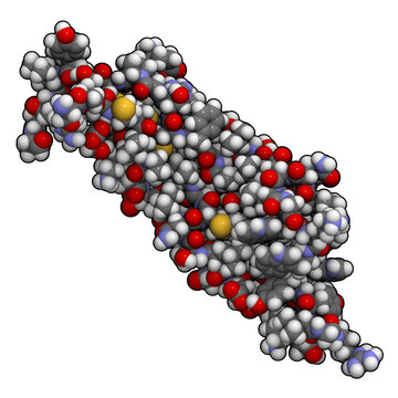 Transforming growth factor beta (TGFB) molecule, chemical structure.