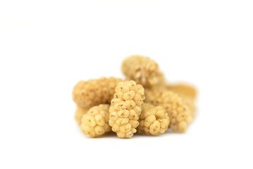 the dried white mulberry (Morus alba) common mulberry, silkworm mulberry