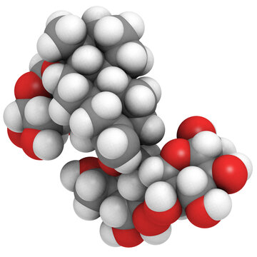 Stevioside natural sweetener and sugar substitute molecule.