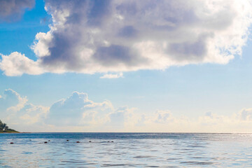 Obraz premium Tropical mexican beach clear turquoise water Playa del Carmen Mexico.