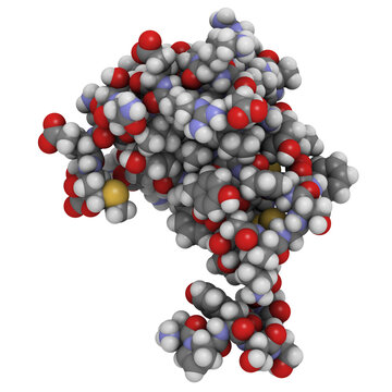 RANTES (CCL5) protein molecule, chemical structure