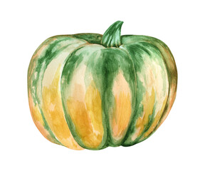 Beautiful pumpkins on an isolated white background. Watercolor illustration. Hand-drawn. Perfect for cards or posters for Thanksgiving, Halloween, Farmer's Festival.