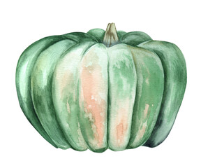 Beautiful pumpkins on an isolated white background. Watercolor illustration. Hand-drawn. Perfect for cards or posters for Thanksgiving, Halloween, Farmer's Festival.