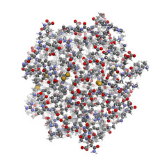 Prostate-specific antigen (PSA), chemical structure
