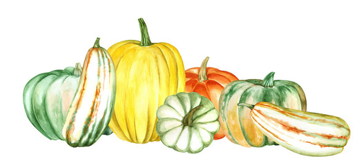 Beautiful set of pumpkins on an isolated white background. Watercolor illustration. Hand-drawn elements. Perfect for cards or posters for Thanksgiving, Halloween, Farmer's Festival.