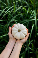 Taking pumpkin outside with green grass background