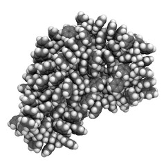 Polystyrene (PS) plastic, chemical structure. Used in insulation materials, toys, packaging, food containers, etc.