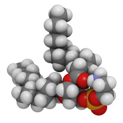 Phosphatidylethanolamine (PE) cell membrane building block, molecular model.