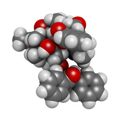 Paclitaxel cancer chemotherapy drug, chemical structure.