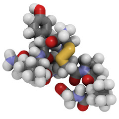 Oxytocin (cuddle hormone) molecule, chemical structure