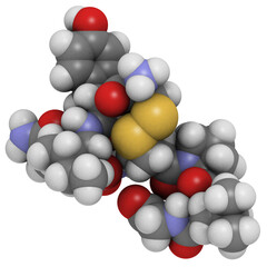 Oxytocin (cuddle hormone) molecule, chemical structure