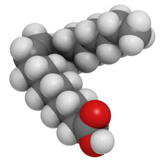 Oleic acid omega-9 fatty acid, molecular model