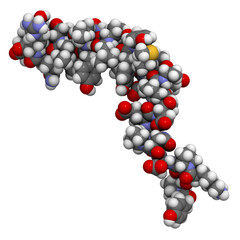Neuropeptide Y molecule, chemical structure