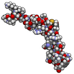 Neuropeptide Y molecule, chemical structure